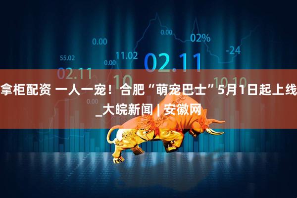 拿柜配资 一人一宠！合肥“萌宠巴士”5月1日起上线_大皖新闻 | 安徽网