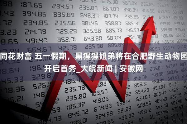 同花财富 五一假期，黑猩猩姐弟将在合肥野生动物园开启首秀_大皖新闻 | 安徽网