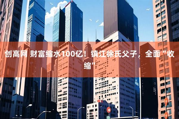 创高网 财富缩水100亿！镇江徐氏父子，全面“收缩”