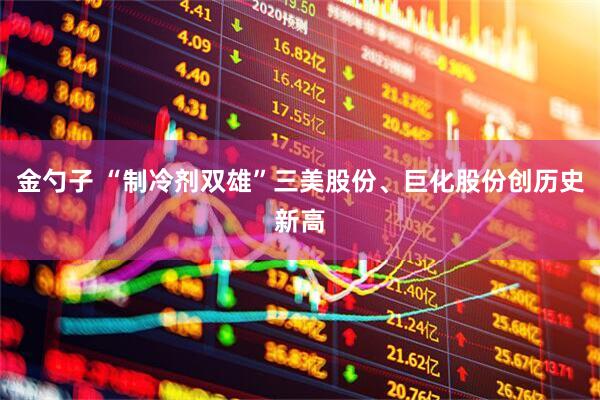 金勺子 “制冷剂双雄”三美股份、巨化股份创历史新高