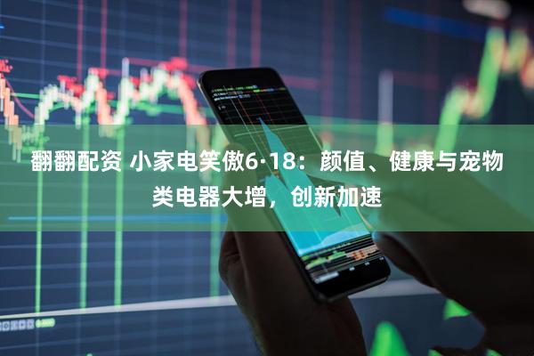 翻翻配资 小家电笑傲6·18：颜值、健康与宠物类电器大增，创新加速