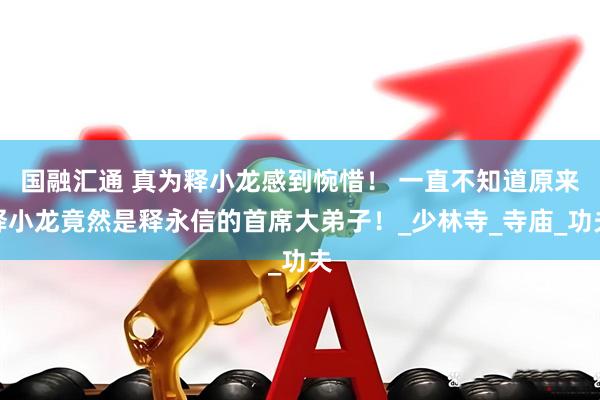 国融汇通 真为释小龙感到惋惜！ 一直不知道原来释小龙竟然是释永信的首席大弟子！_少林寺_寺庙_功夫