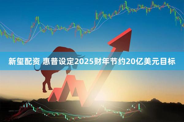 新玺配资 惠普设定2025财年节约20亿美元目标