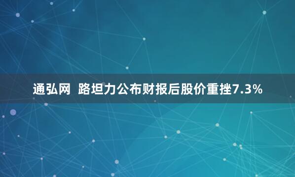 通弘网  路坦力公布财报后股价重挫7.3%