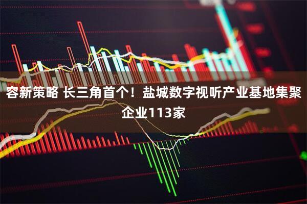 容新策略 长三角首个！盐城数字视听产业基地集聚企业113家