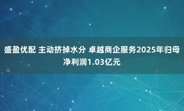 盛盈优配 主动挤掉水分 卓越商企服务2025年归母净利润1.03亿元